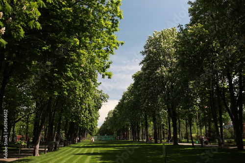 beautiful large green park with many trees and flora