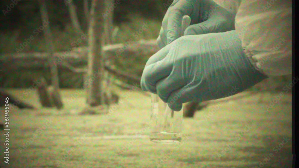 Swamp Testing Retro VHS tape, film Process of taking water analysis from swamp, using ...
