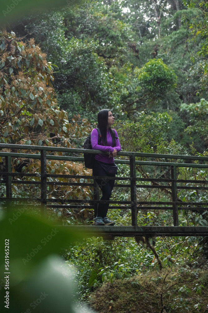 Black-haired woman leaning on a bridge admiring the natural beauty of a forest in Costa Rica