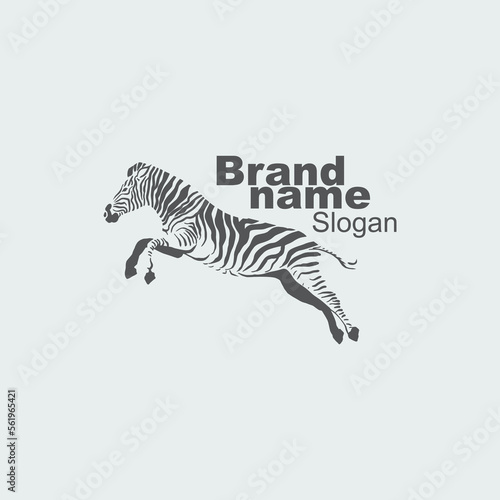 zebra logo illustration design isolated