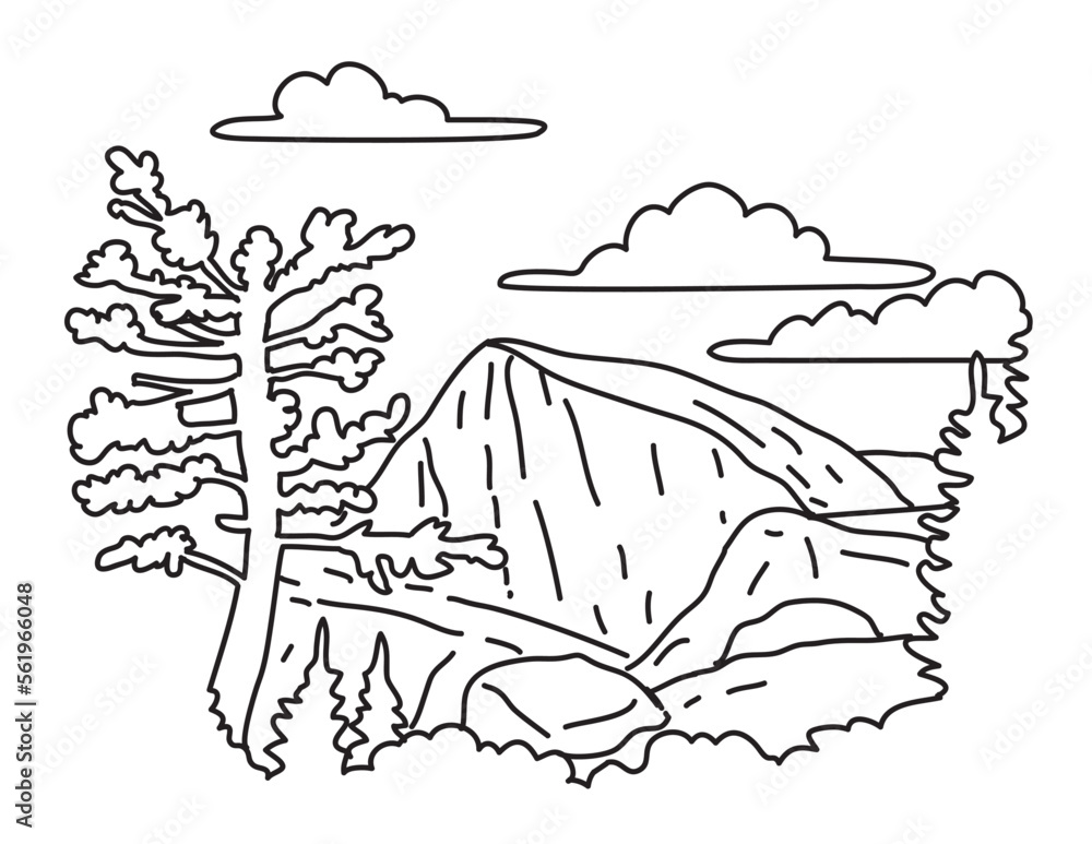 Naklejka premium Mono line illustration of North Dome on the Indian Ridge in Yosemite National Park California done in black and white monoline line drawing art style.