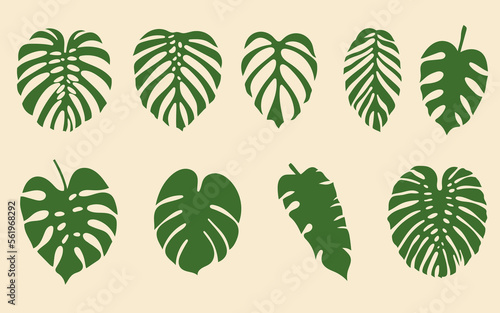 Tropical Palm Green Branch Leaves set collection © Oleksii