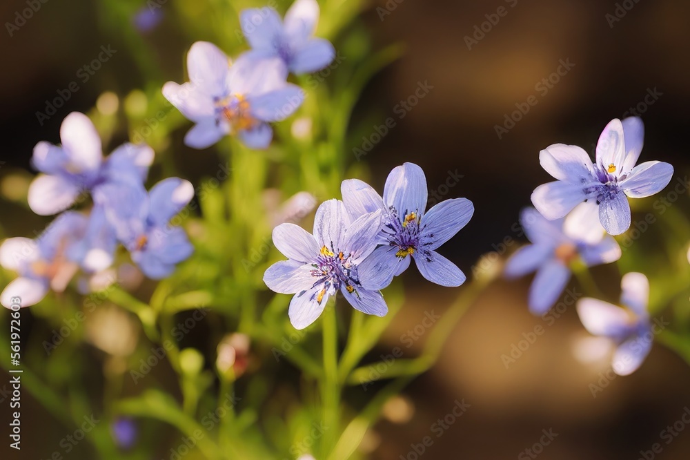 Spring Wildflowers Seamless Texture Pattern Tiled Repeatable Tessellation Background Image Spring Wildflowers Seamless Texture Pattern Tiled Repeatable Tessellation Background Image