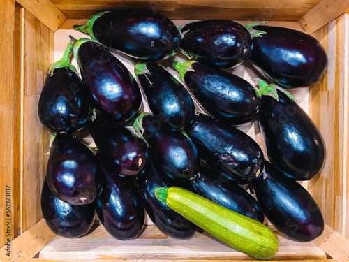 eggplants on the vine