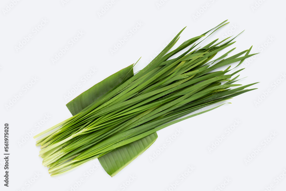 Fresh Chinese Chive leaves on white background. Fresh Chinese Chive leaves on white background.