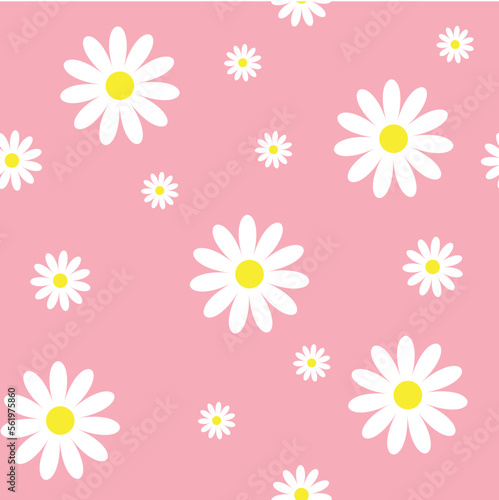 daisy flowers