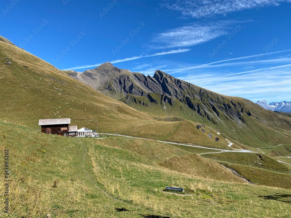 Switzerland scenery 