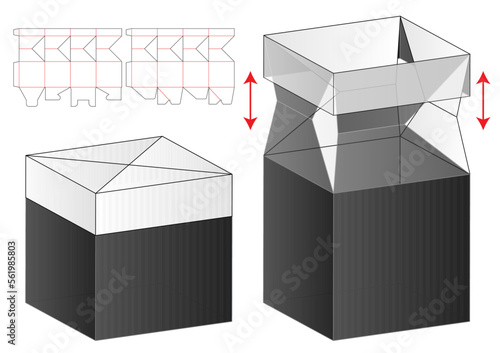 Box packaging die cut template design. 3d mock-up