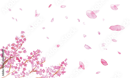                                                                                                                                      Watercolor painting. Cherry blossom background with watercolor touch. Spring cherry blossom vector illustration. Japanese style frame background of cherry 