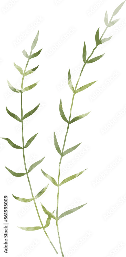 Fototapeta premium Watercolor botanical leaf branch