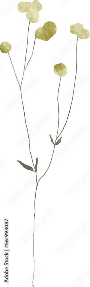 Watercolor botanical leaf branch Watercolor botanical leaf branch