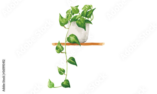 観葉植物