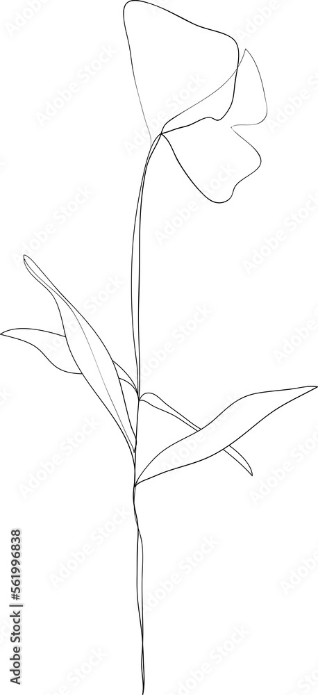 Botanical floral leaf branch line art