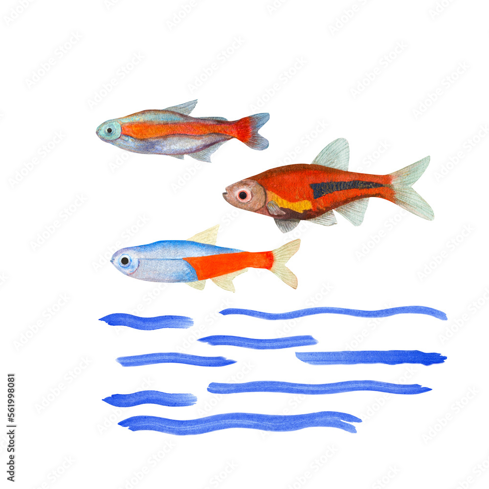 Watercolor illustration of a set of marine fauna isolated on white background. Print, design, poster, banner, background, menus, souvenirs, decor, wallpaper, fabric, textile, wrapping.