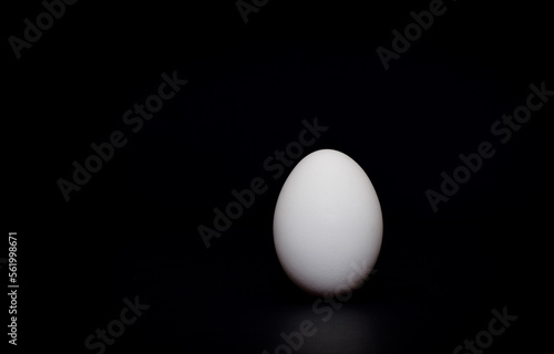 egg with black background and light reflection
