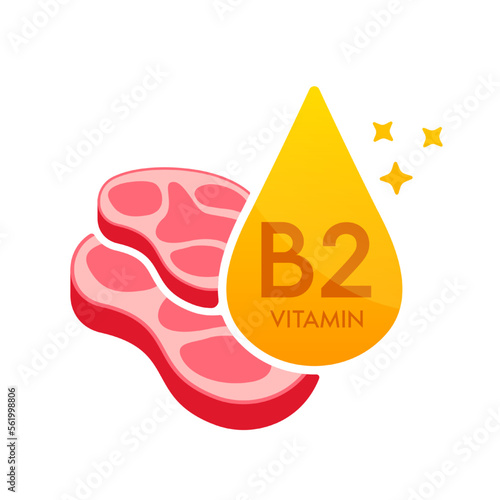 Vitamin B2 icon orange with meat red. Form drop serum simple line isolated on a white background. Design for use in print media. Medical food supplement symbol. Vector EPS10.