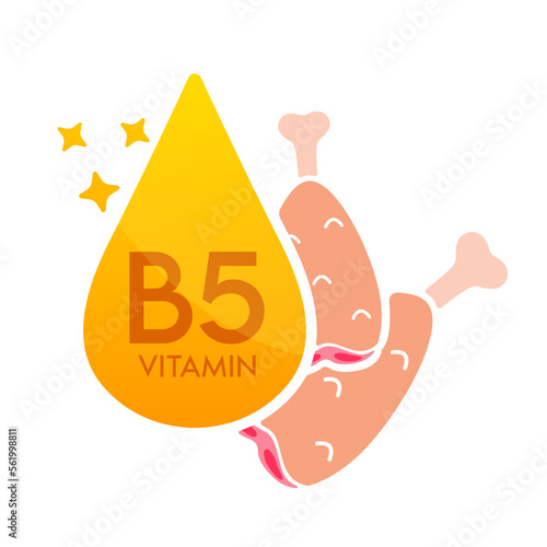 Vitamin B5 icon orange with chicken meat red. Form drop serum simple line isolated on a white background. Design for use in print media. Medical food supplement symbol. Vector EPS10.