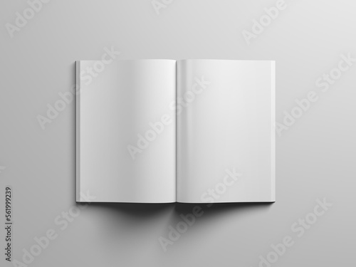 Blank pages mockup on gray background