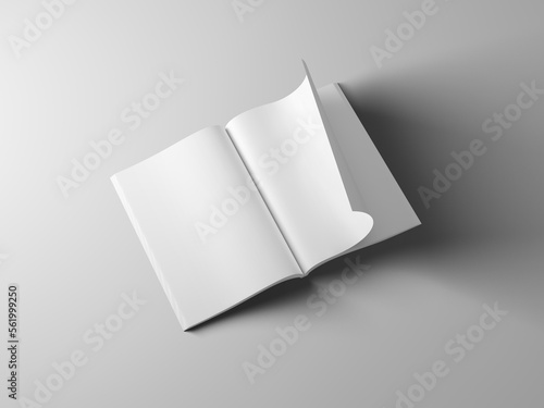 Blank pages mockup on gray background