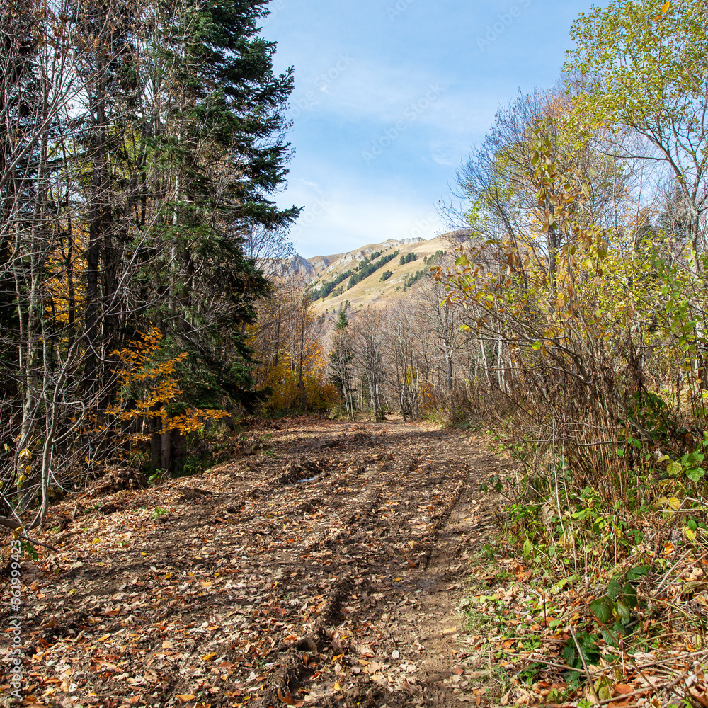 the beginning of autumn in the highlands, nature walks, panoramic views of the mountains, routes and recreation in the mountains. the beginning of autumn in the highlands, nature walks, panoramic views of the mountains, routes and recreation in the mountains.