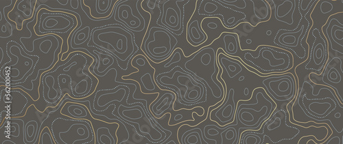 Luxury gold abstract line art background vector. Mountain topographic terrain map background with gold lines texture. Design illustration for wall art, fabric, packaging, web, banner, app, wallpaper.