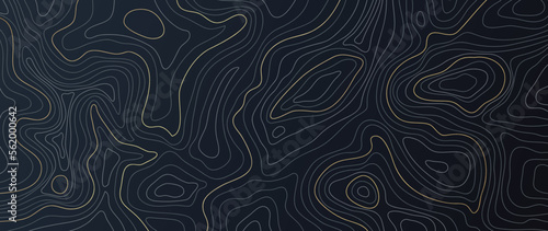 Luxury gold abstract line art background vector. Mountain topographic terrain map background with gold lines texture. Design illustration for wall art, fabric, packaging, web, banner, app, wallpaper.
