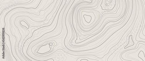 Abstract line art background vector. Mountain topographic terrain map background with abstract shape lines texture. Design illustration for wall art, fabric, packaging, web, banner, app, wallpaper.