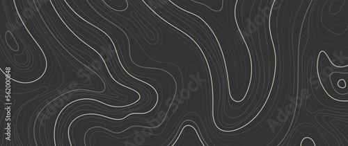 Abstract line art background vector. Mountain topographic terrain map background with abstract shape lines texture. Design illustration for wall art, fabric, packaging, web, banner, app, wallpaper.
