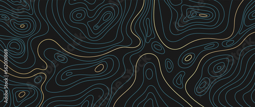 Luxury gold abstract line art background vector. Mountain topographic terrain map background with gold lines texture. Design illustration for wall art, fabric, packaging, web, banner, app, wallpaper.