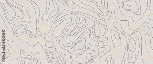 Luxury gold abstract line art background vector. Mountain topographic terrain map background with gold lines texture. Design illustration for wall art, fabric, packaging, web, banner, app, wallpaper.