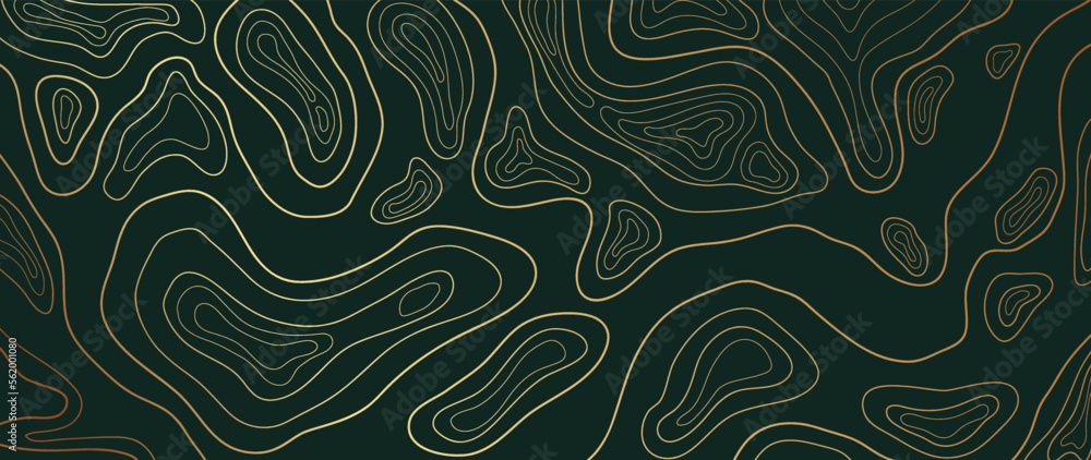 Luxury gold abstract line art background vector. Mountain topographic terrain map background with gold lines texture. Design illustration for wall art, fabric, packaging, web, banner, app, wallpaper. Luxury gold abstract line art background vector. Mountain topographic terrain map background with gold lines texture. Design illustration for wall art, fabric, packaging, web, banner, app, wallpaper.