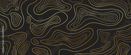 Luxury gold abstract line art background vector. Mountain topographic terrain map background with gold lines texture. Design illustration for wall art, fabric, packaging, web, banner, app, wallpaper.