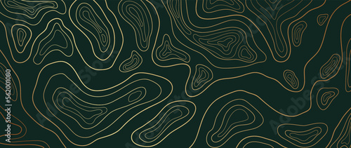 Luxury gold abstract line art background vector. Mountain topographic terrain map background with gold lines texture. Design illustration for wall art, fabric, packaging, web, banner, app, wallpaper.