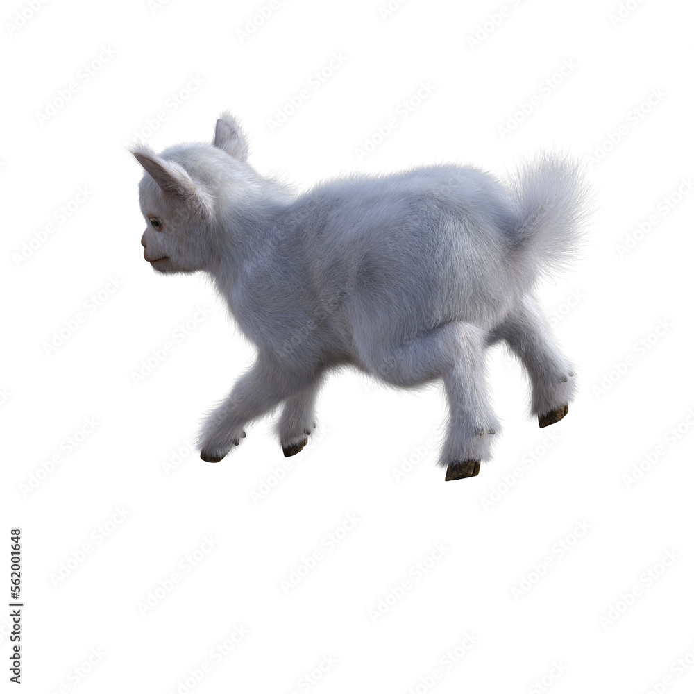 Obraz premium Goat baby character on transparent background. 3d rendering illustration for collage, clipart, composting, pose #02.