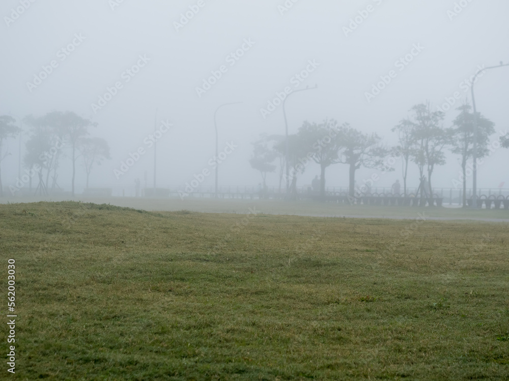 mist landscape in morning in winter mist landscape in morning in winter