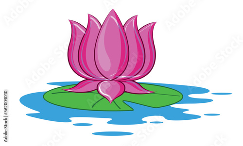 pink lotus flower