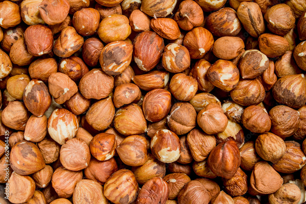 The texture of the shelled hazelnuts. The texture of the shelled hazelnuts.