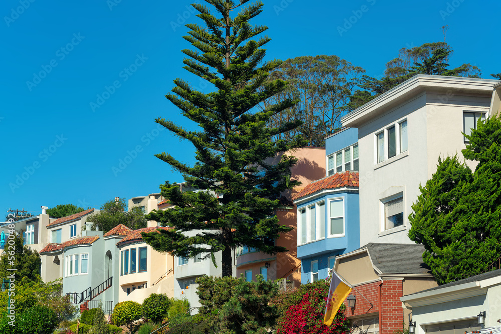 Modern middle class neighborhood in the historic districts of san francisco california with visible windows and trees