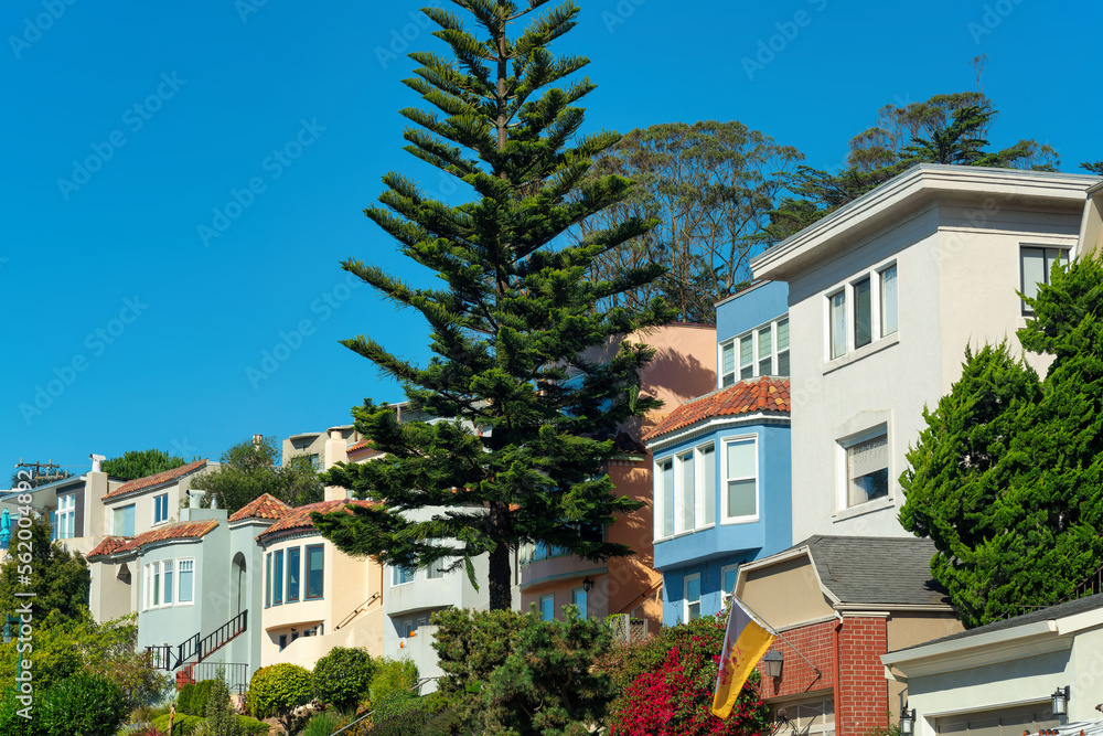 Fototapeta premium Modern middle class neighborhood in the historic districts of san francisco california with visible windows and trees