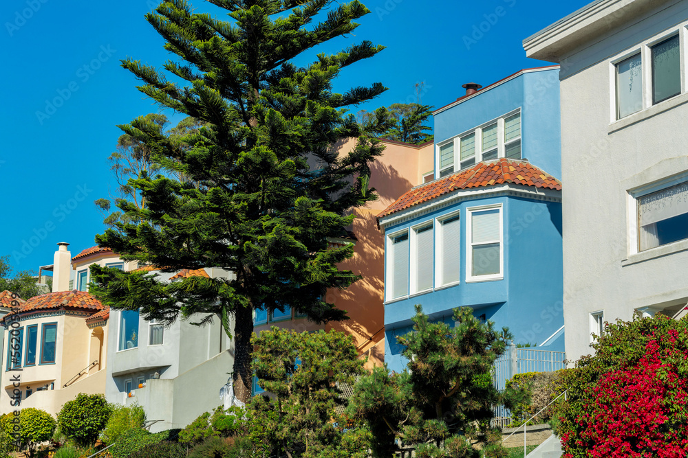Fototapeta premium Decorative housing and home buildings in the downtown middle class american dream city neighborhood