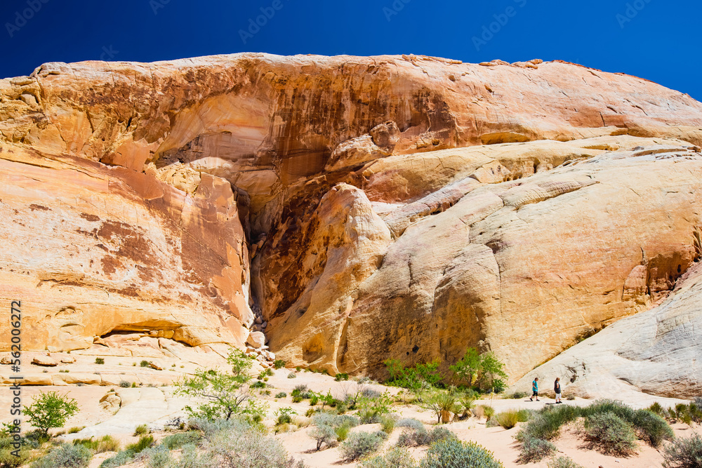 Obraz premium Amazing colors and shapes of sandstone formations in Valley of Fire State Park, Nevada, USA