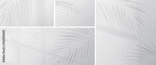 Palm leaves shadow overlay on transparent background. Effect of sunlight from window and gray shades of tropical plant foliage on wall, vector realistic illustration