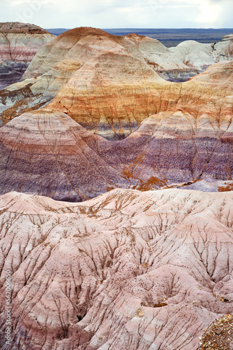 Striped purple sandstone formations of Blue Mesa badlands in Petrified Forest National Park, Arizona, USA.