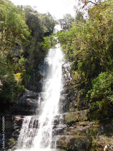 In the photo  there is a waterfall surrounded by lush greenery. The water cascades down a rocky cliff  creating a misty spray as it crashes into the pool below. The water is a deep blue-green color  r