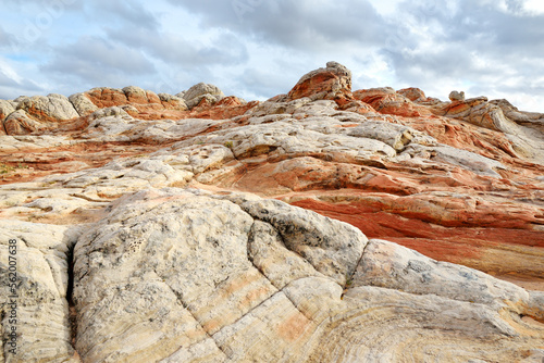 Amazing shapes and colors of moonlike sandstone formations in White Pocket, Arizona, USA.