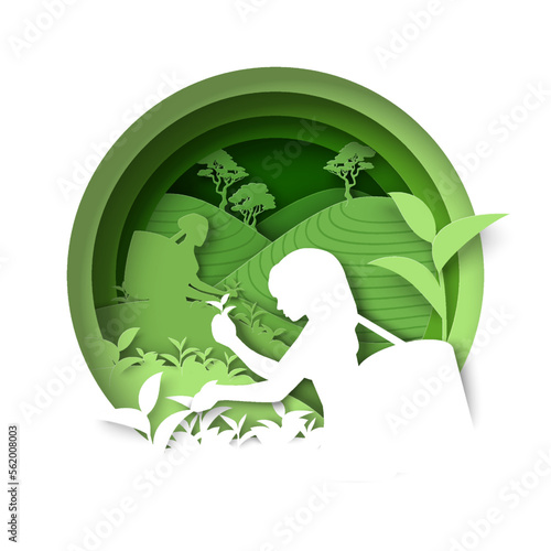 Natural tea production paper cut 3d vector