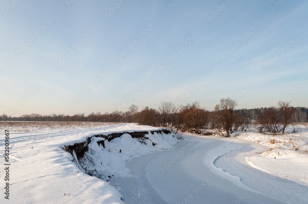 winter landscape in the winter forest