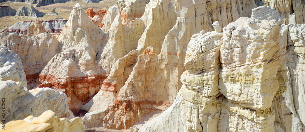 Stunning view of white striped sandstone hoodoos in Coal Mine Canyon near Tuba city, Arizona, USA.