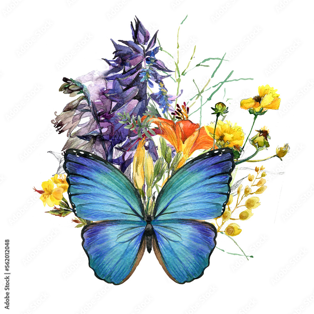 Watercolor butterfly, wild flowers bouquet on white background Stock ...