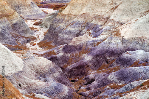Striped purple sandstone formations of Blue Mesa badlands in Petrified Forest National Park  Arizona  USA.